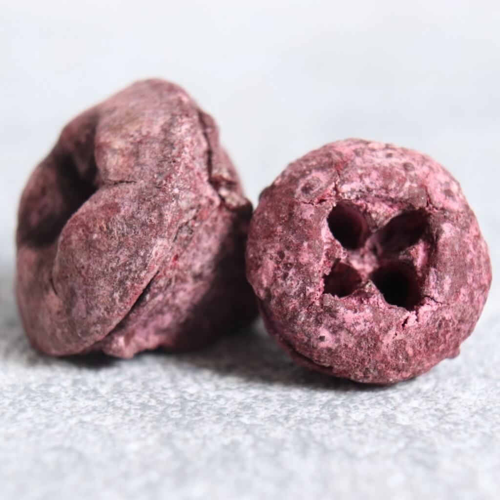 Eukalyptus pod – červená 100 g: přírodní eukalyptové tobolky pro vánoční a podzimní dekorace, aranžmá a věnce.
